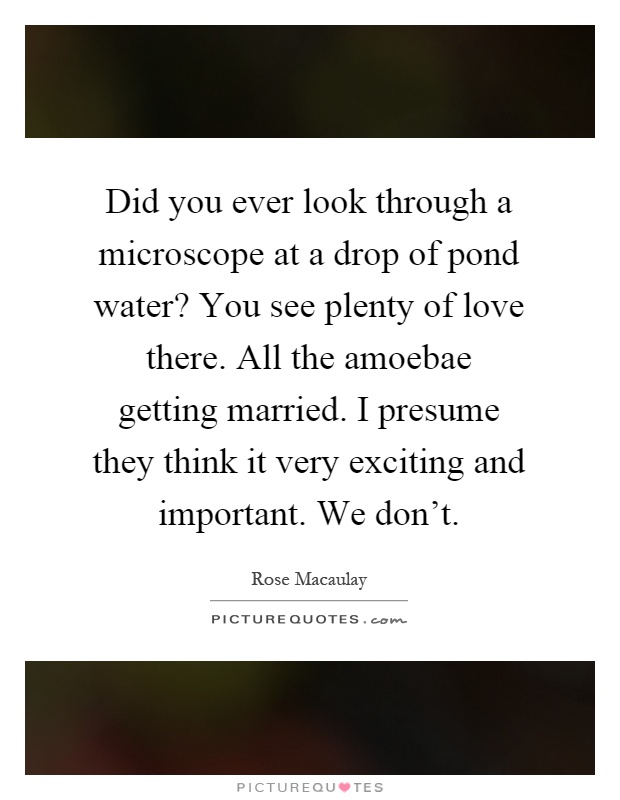 Did you ever look through a microscope at a drop of pond water? You see plenty of love there. All the amoebae getting married. I presume they think it very exciting and important. We don't Picture Quote #1