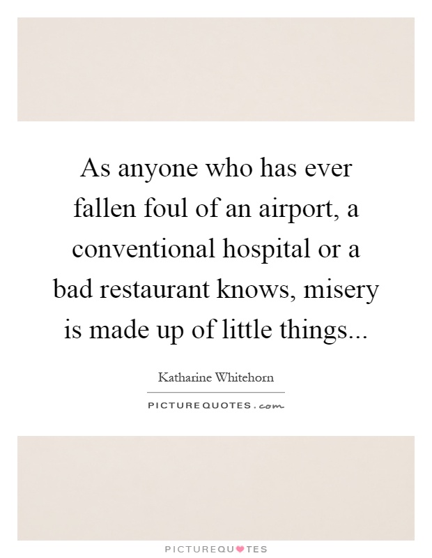 As anyone who has ever fallen foul of an airport, a conventional hospital or a bad restaurant knows, misery is made up of little things Picture Quote #1