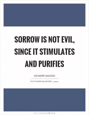 Sorrow is not evil, since it stimulates and purifies Picture Quote #1