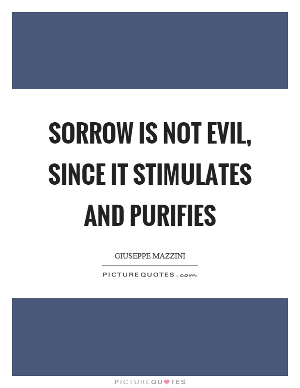 Sorrow is not evil, since it stimulates and purifies Picture Quote #1