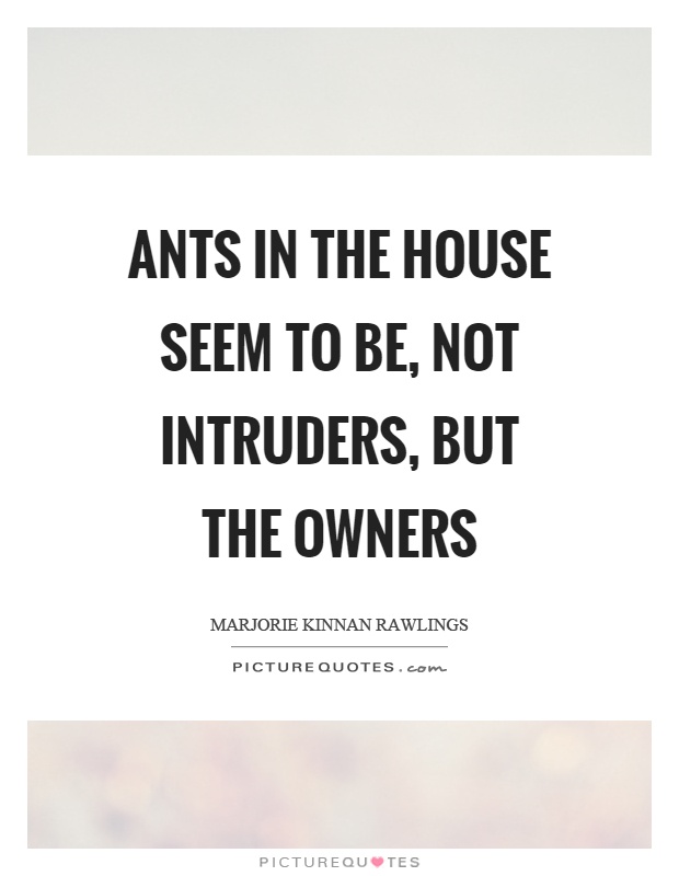 Ants in the house seem to be, not intruders, but the owners Picture Quote #1
