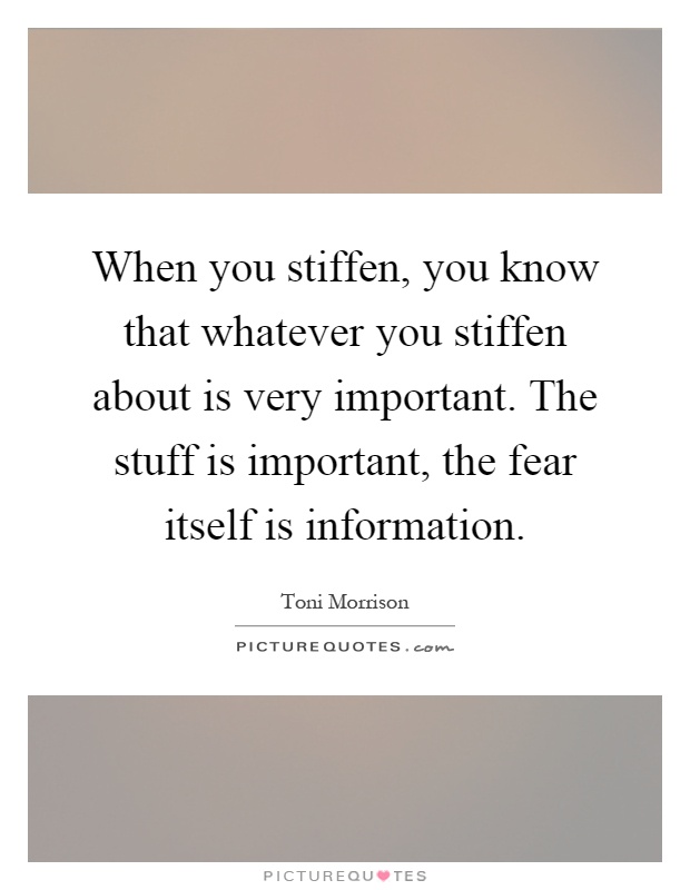 When you stiffen, you know that whatever you stiffen about is very important. The stuff is important, the fear itself is information Picture Quote #1