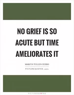 No grief is so acute but time ameliorates it Picture Quote #1