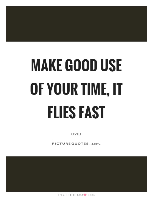 Make good use of your time, it flies fast Picture Quote #1