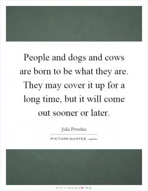 People and dogs and cows are born to be what they are. They may cover it up for a long time, but it will come out sooner or later Picture Quote #1