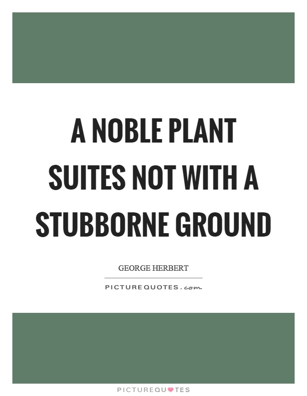 A noble plant suites not with a stubborne ground Picture Quote #1