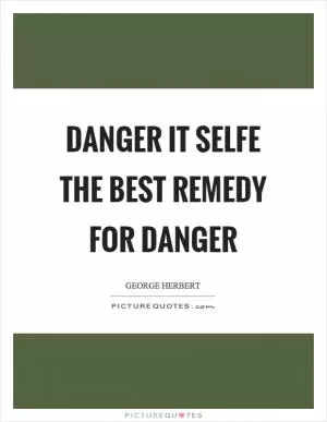 Danger it selfe the best remedy for danger Picture Quote #1