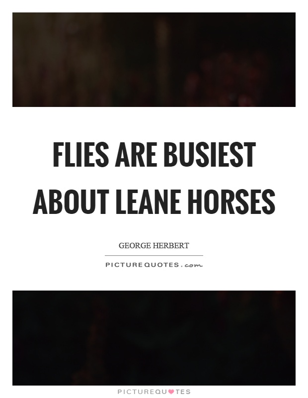 Flies are busiest about leane horses Picture Quote #1