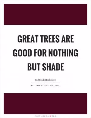 Great trees are good for nothing but shade Picture Quote #1
