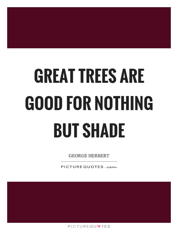 Great trees are good for nothing but shade Picture Quote #1