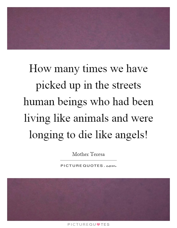 How many times we have picked up in the streets human beings who had been living like animals and were longing to die like angels! Picture Quote #1