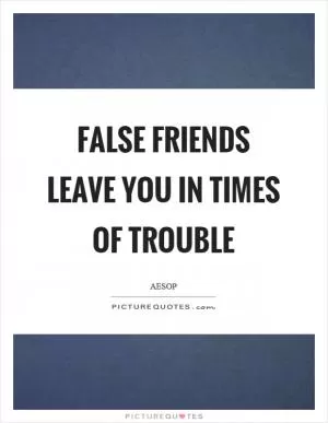 False friends leave you in times of trouble Picture Quote #1