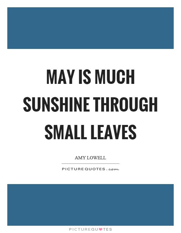 May is much sunshine through small leaves Picture Quote #1