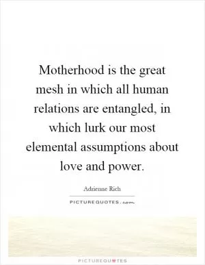 Motherhood is the great mesh in which all human relations are entangled, in which lurk our most elemental assumptions about love and power Picture Quote #1