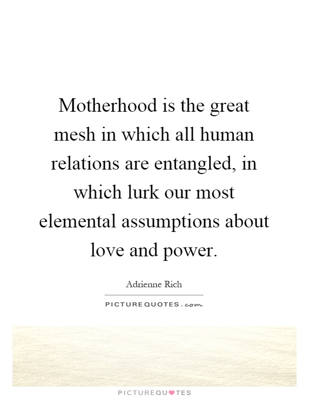 Motherhood is the great mesh in which all human relations are entangled, in which lurk our most elemental assumptions about love and power Picture Quote #1