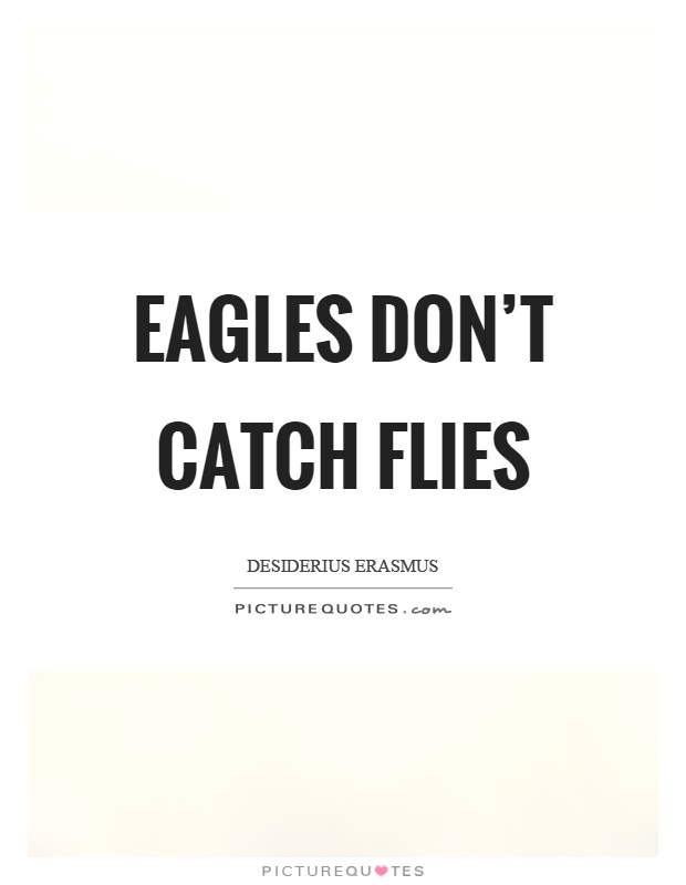 Eagles don't catch flies Picture Quote #1