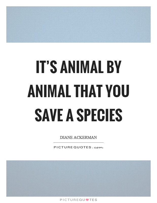 It's animal by animal that you save a species Picture Quote #1