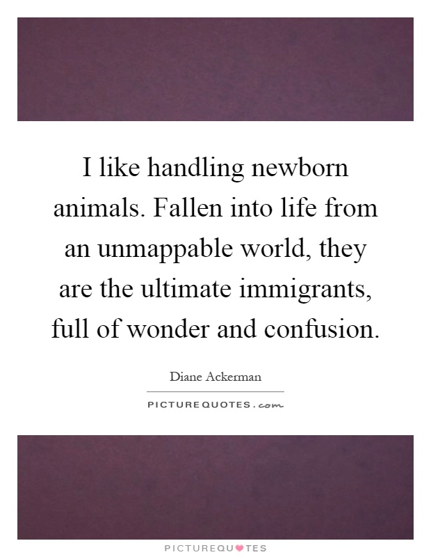 I like handling newborn animals. Fallen into life from an unmappable world, they are the ultimate immigrants, full of wonder and confusion Picture Quote #1