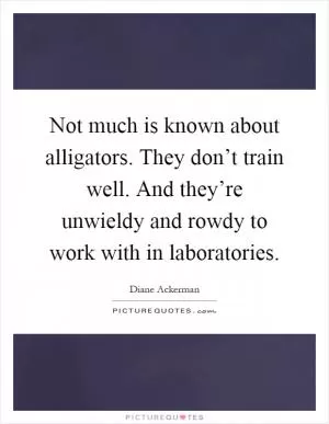 Not much is known about alligators. They don’t train well. And they’re unwieldy and rowdy to work with in laboratories Picture Quote #1