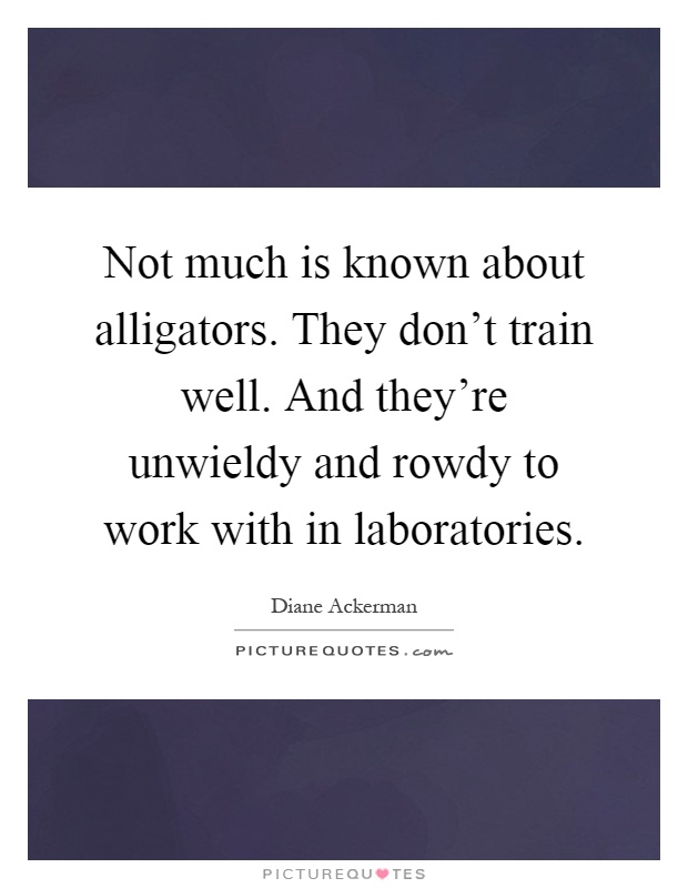 Not much is known about alligators. They don't train well. And they're unwieldy and rowdy to work with in laboratories Picture Quote #1