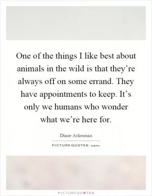 One of the things I like best about animals in the wild is that they’re always off on some errand. They have appointments to keep. It’s only we humans who wonder what we’re here for Picture Quote #1