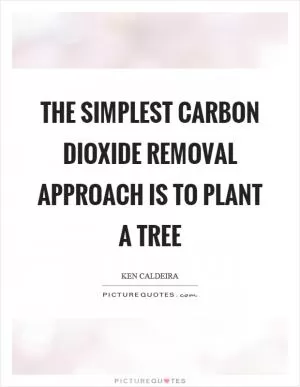 The simplest carbon dioxide removal approach is to plant a tree Picture Quote #1