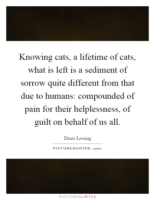 Knowing cats, a lifetime of cats, what is left is a sediment of sorrow quite different from that due to humans: compounded of pain for their helplessness, of guilt on behalf of us all Picture Quote #1