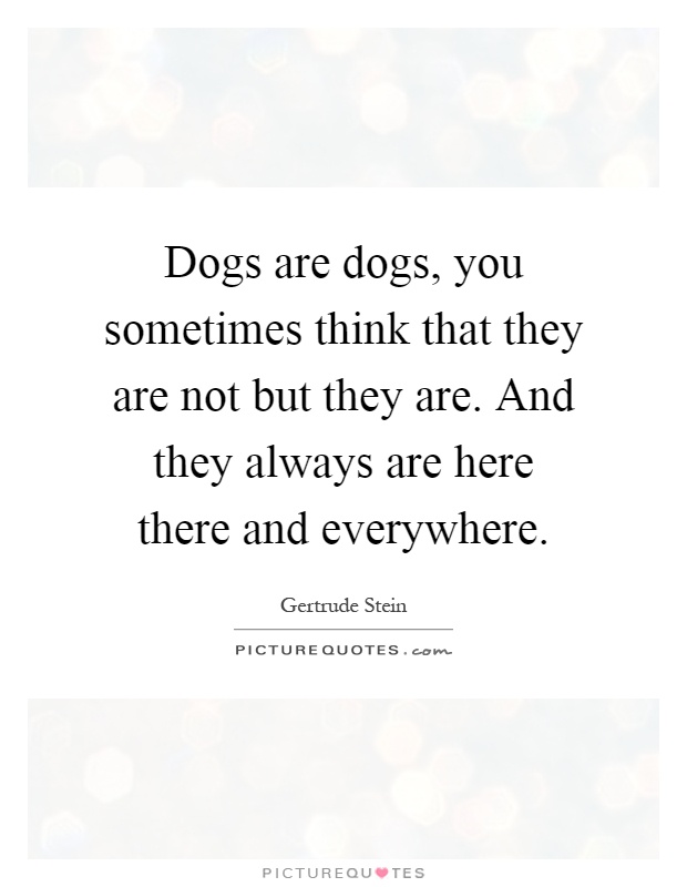 Dogs are dogs, you sometimes think that they are not but they are. And they always are here there and everywhere Picture Quote #1