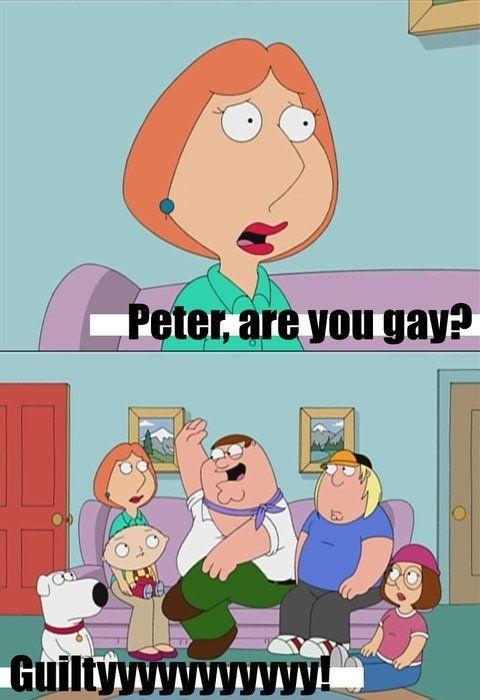 Peter, are you gay? Guiltyyyyyyyyyy! Picture Quote #1