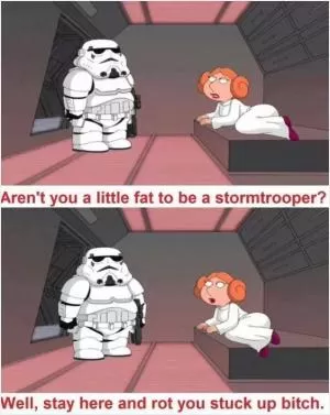 Aren’t you a little fat to be a stormtropper? Well, stay here and rot you stuck up bitch Picture Quote #1