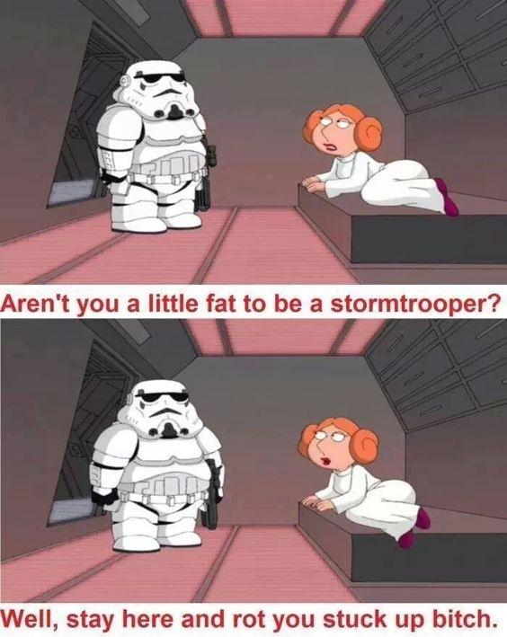 Aren't you a little fat to be a stormtropper? Well, stay here and rot you stuck up bitch Picture Quote #1