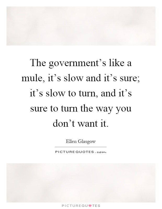 The government's like a mule, it's slow and it's sure; it's slow to turn, and it's sure to turn the way you don't want it Picture Quote #1