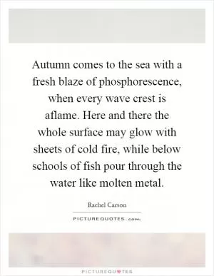 Autumn comes to the sea with a fresh blaze of phosphorescence, when every wave crest is aflame. Here and there the whole surface may glow with sheets of cold fire, while below schools of fish pour through the water like molten metal Picture Quote #1