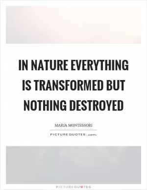 In nature everything is transformed but nothing destroyed Picture Quote #1