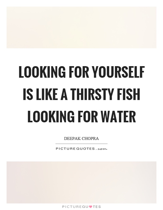 Looking for yourself is like a thirsty fish looking for water Picture Quote #1