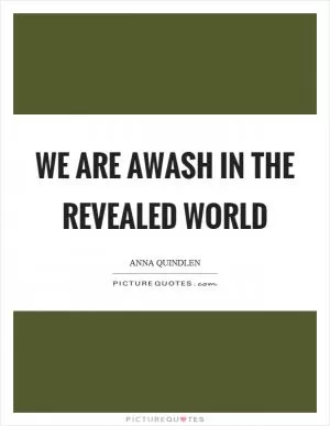 We are awash in the revealed world Picture Quote #1