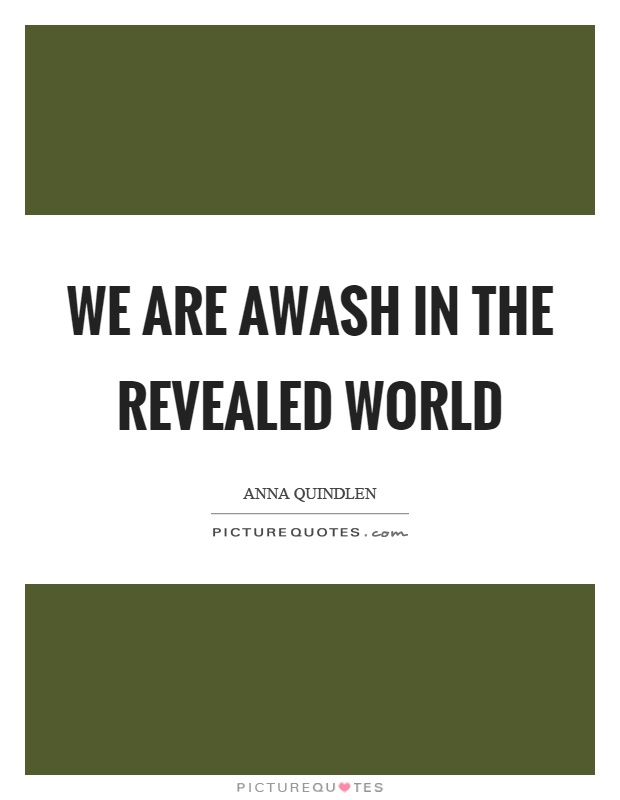 We are awash in the revealed world Picture Quote #1