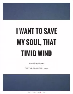 I want to save my soul, that timid wind Picture Quote #1