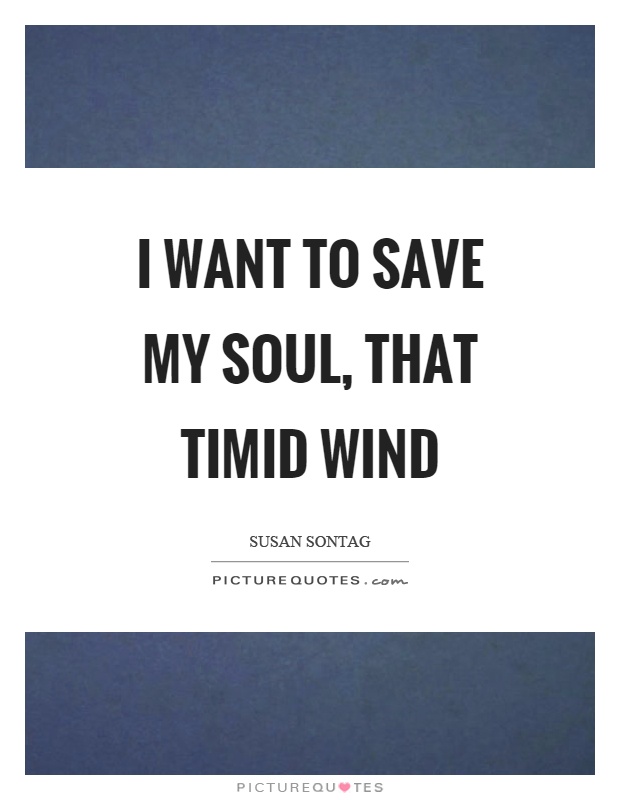 I want to save my soul, that timid wind Picture Quote #1
