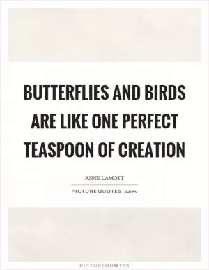Butterflies and birds are like one perfect teaspoon of creation Picture Quote #1