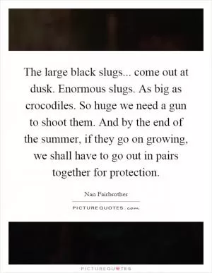 The large black slugs... come out at dusk. Enormous slugs. As big as crocodiles. So huge we need a gun to shoot them. And by the end of the summer, if they go on growing, we shall have to go out in pairs together for protection Picture Quote #1