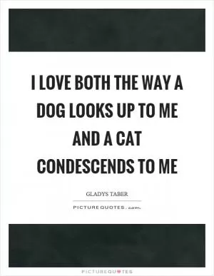 I love both the way a dog looks up to me and a cat condescends to me Picture Quote #1