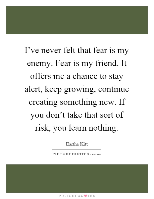 I've never felt that fear is my enemy. Fear is my friend. It offers me a chance to stay alert, keep growing, continue creating something new. If you don't take that sort of risk, you learn nothing Picture Quote #1