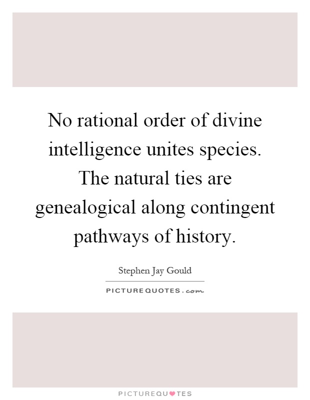 No rational order of divine intelligence unites species. The natural ties are genealogical along contingent pathways of history Picture Quote #1
