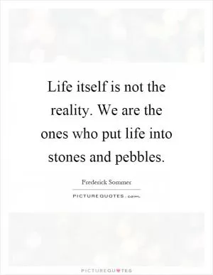 Life itself is not the reality. We are the ones who put life into stones and pebbles Picture Quote #1