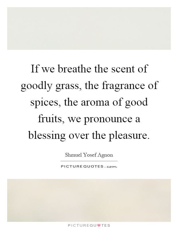 If we breathe the scent of goodly grass, the fragrance of spices, the aroma of good fruits, we pronounce a blessing over the pleasure Picture Quote #1