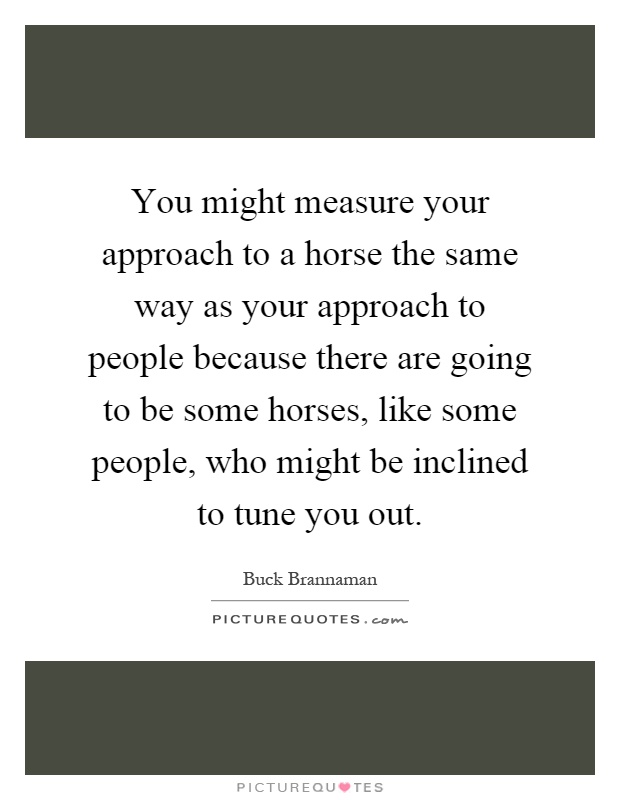 You might measure your approach to a horse the same way as your approach to people because there are going to be some horses, like some people, who might be inclined to tune you out Picture Quote #1