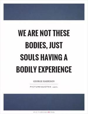 We are not these bodies, just souls having a bodily experience Picture Quote #1