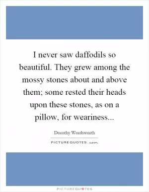 I never saw daffodils so beautiful. They grew among the mossy stones about and above them; some rested their heads upon these stones, as on a pillow, for weariness Picture Quote #1