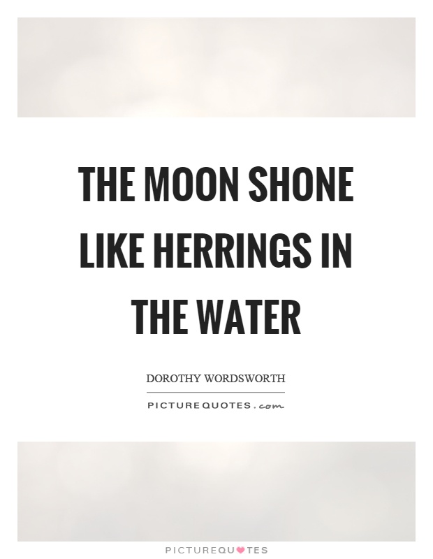 The moon shone like herrings in the water Picture Quote #1